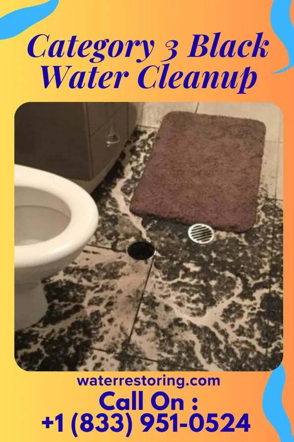 Category 3 Black Water Cleanup in Hurley, WI
